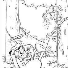 Donald Duck in the hammock - Coloring page - DISNEY coloring pages - Donald Duck coloring pages