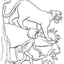 The Jungle Book 16 - Coloring page - DISNEY coloring pages - The Jungle Book coloring pages