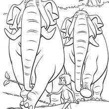 COLONEL HATHI coloring page