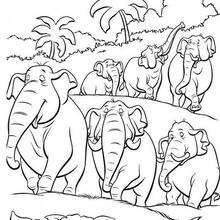 ELEPHANT SQUADRON coloring page