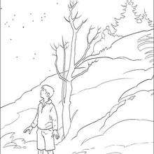 Peter in Narnia coloring page