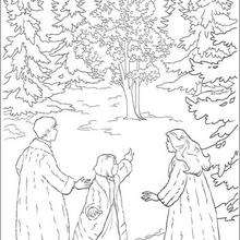 Narnia magical forest coloring page