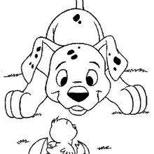Chick - Coloring page - DISNEY coloring pages - 101 Dalmatians coloring pages