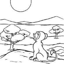 Simba looking at the moon - Coloring page - DISNEY coloring pages - The Lion King coloring pages