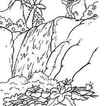 Rafiki - Coloring page - DISNEY coloring pages - The Lion King coloring pages