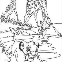 Simba Splashes the Giraffes coloring page