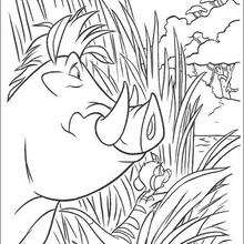 Timon and Pumbaa - Coloring page - DISNEY coloring pages - The Lion King coloring pages
