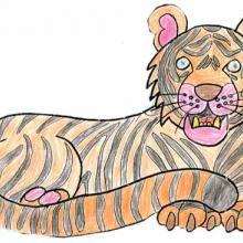 Tiger - Drawing for kids - KIDS drawings - ANIMAL drawings for kids - WILD ANIMAL drawings - TIGER