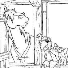 Dogs' friends - Coloring page - DISNEY coloring pages - 101 Dalmatians coloring pages