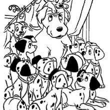 Dalmatians puppies - Coloring page - DISNEY coloring pages - 101 Dalmatians coloring pages