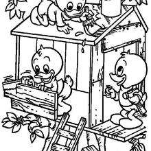 Donald duck's nephews coloring page