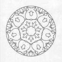 Mandala  77 - Coloring page - MANDALA coloring pages - Mandalas for ADVANCED