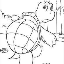 Verne the turtle coloring page