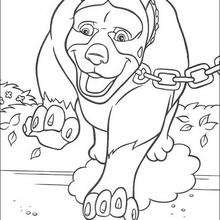 Nugent the rottweiler - Coloring page - DISNEY coloring pages - Over the Hedge coloring book pages
