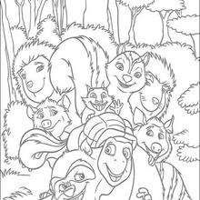 All the suburbs - Coloring page - DISNEY coloring pages - Over the Hedge coloring book pages
