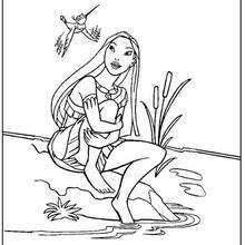 Pocahontas with Flit coloring page