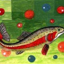 Trout - Drawing for kids - KIDS drawings - ANIMAL drawings for kids - SEA ANIMAL drawings