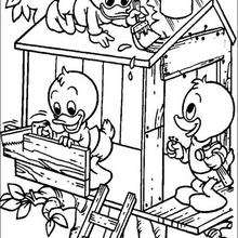 Louie, Dewey and Huey the Donald's nephews coloring page