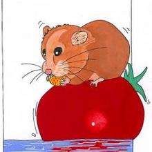 Hamster - Drawing for kids - KIDS drawings - ANIMAL drawings for kids - PETS drawings - HAMSTER