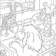 The Wild 25 coloring page