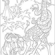 The Wild 31 - Coloring page - DISNEY coloring pages - The Wild coloring book pages