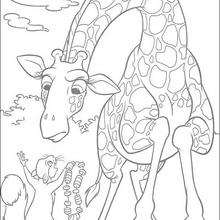 The Wild  6 - Coloring page - DISNEY coloring pages - The Wild coloring book pages